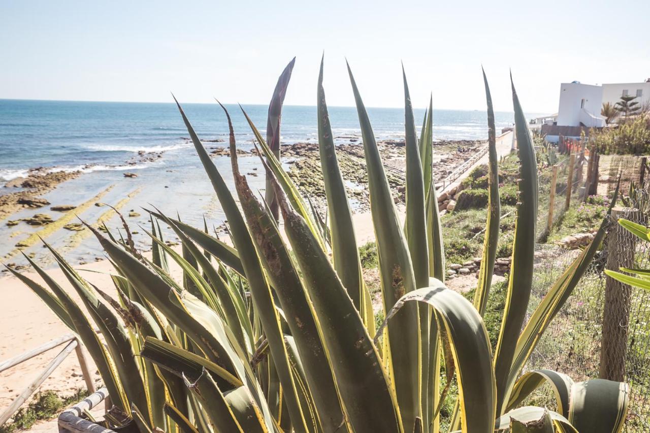 Adosado Nuevo Con Piscina, Playa, Garaje Y Jardin Los Canos De Meca Eksteriør bilde