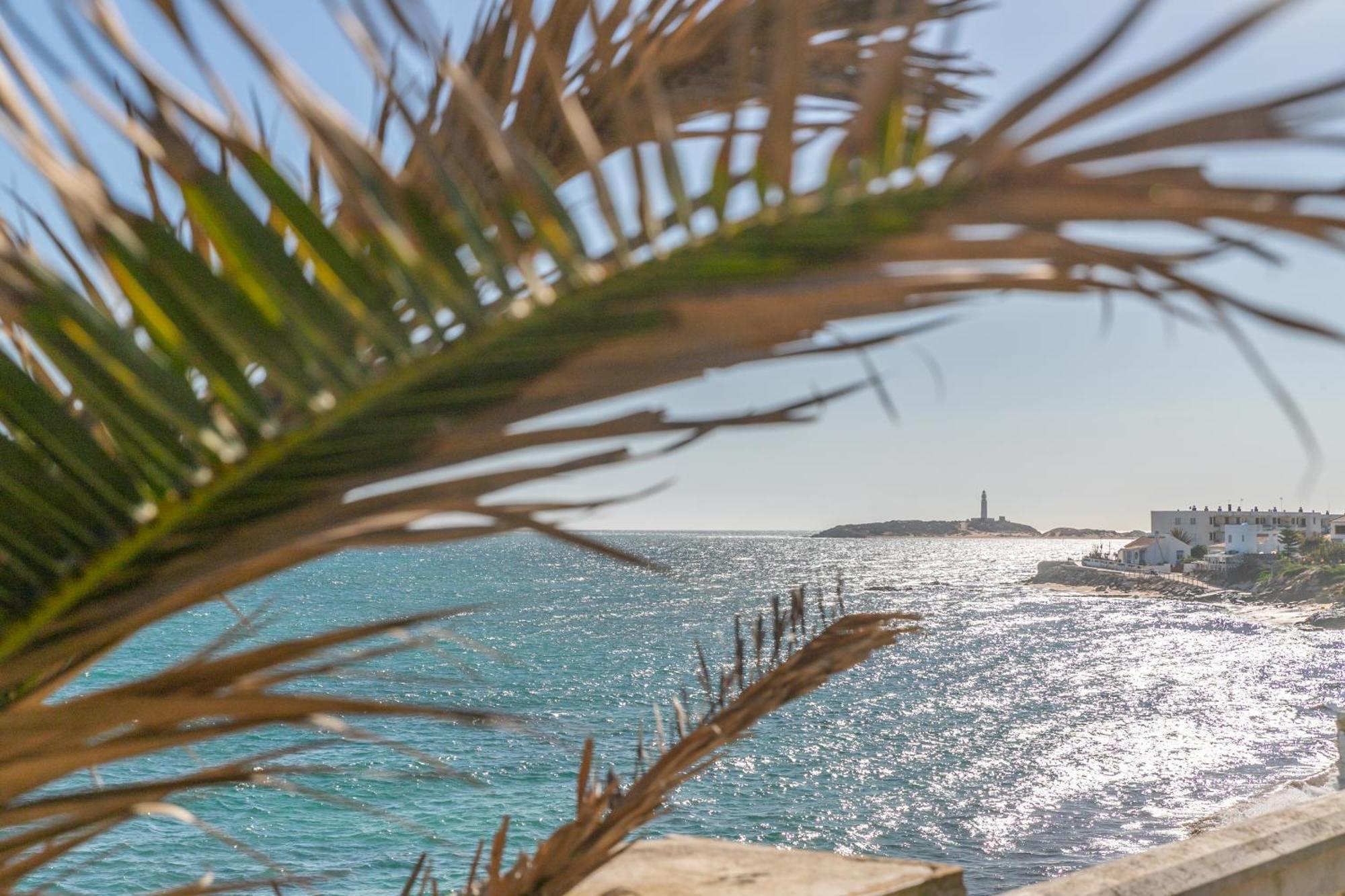 Adosado Nuevo Con Piscina, Playa, Garaje Y Jardin Los Canos De Meca Eksteriør bilde